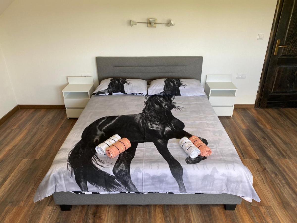 Milka House Villa Korenica Kültér fotó